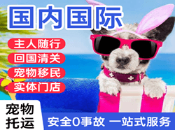 长水机场邮寄国际宠物托运 【国